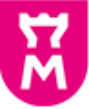 Logo IUT Le Mans